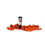 Arter Gel Painting Orange 5g